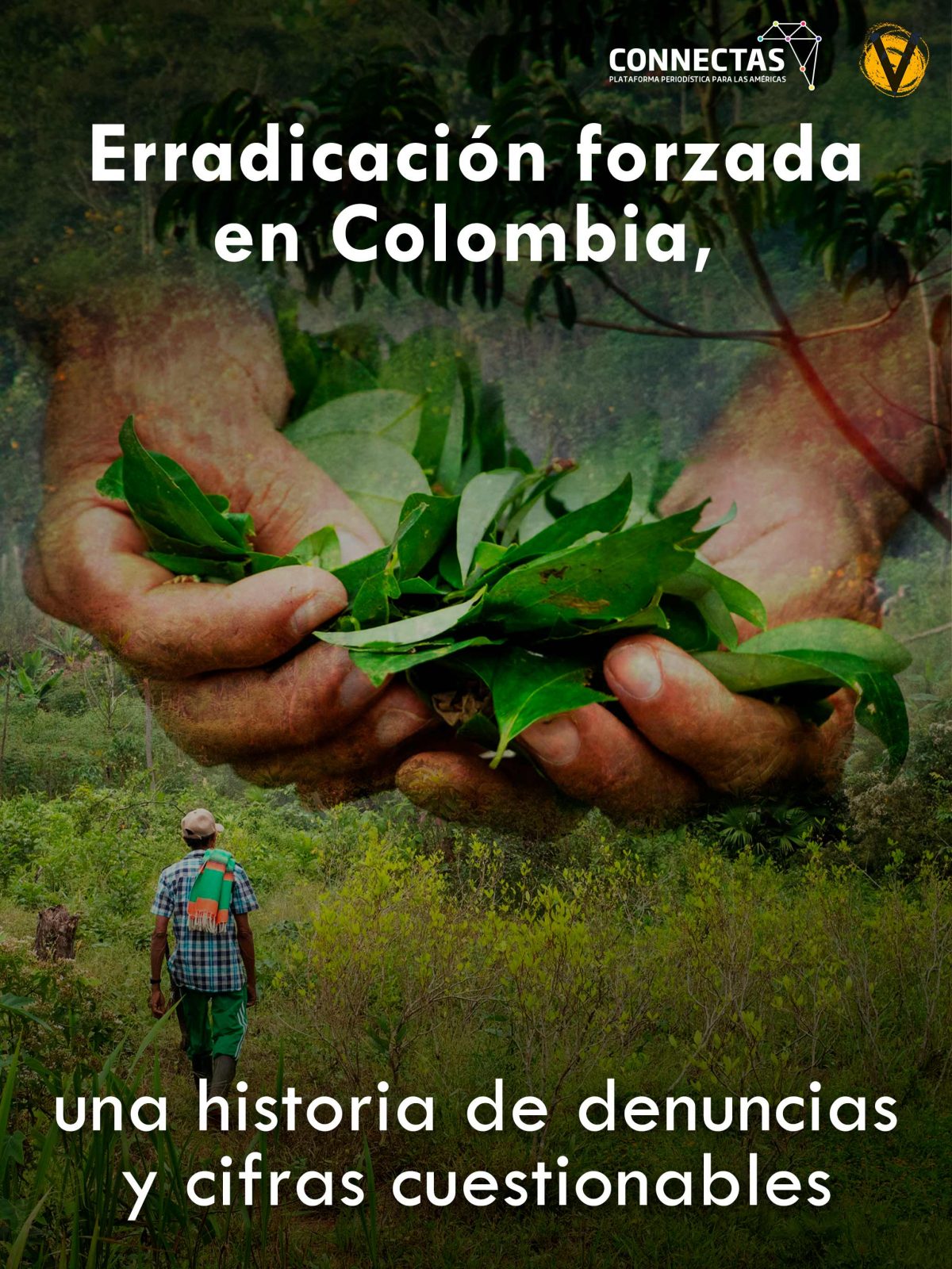 Erradicación forzada